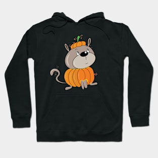 Pumpkin Dog Hoodie